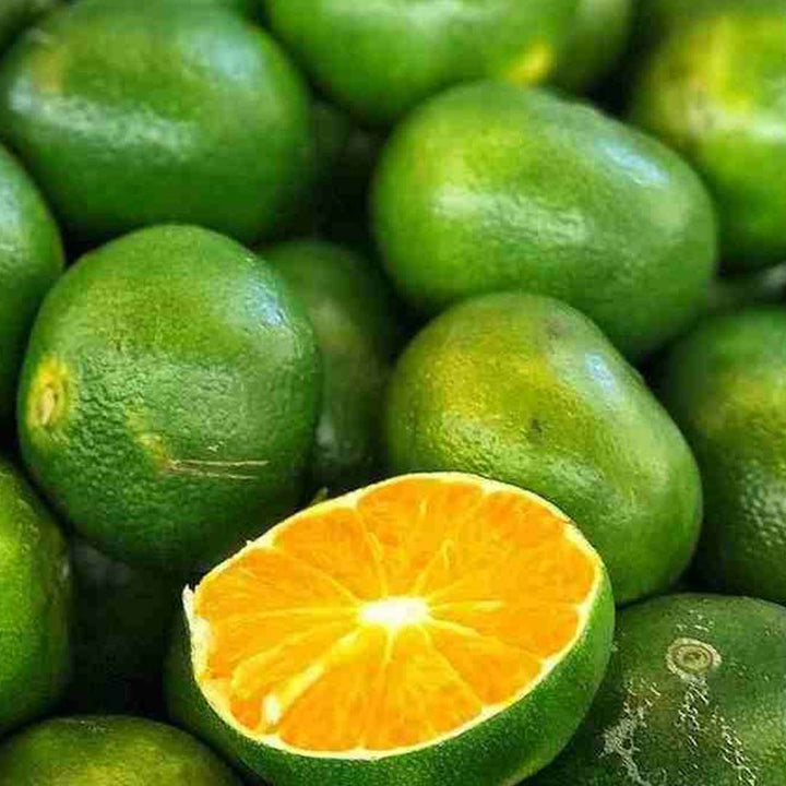 GREEN MANDARIN ESSENTIAL OIL