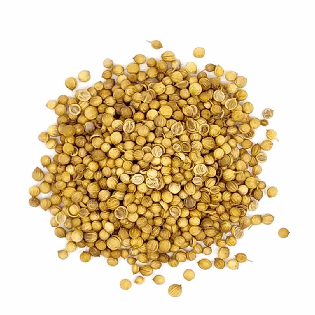 Coriander Seed Oil, ORGANIC Manufacturer & Supplier & Bulk Exporter ...